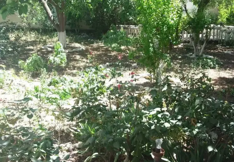 2.5 sot Torpaq Satılır, Badamdar qəs., Səbail, Bakı