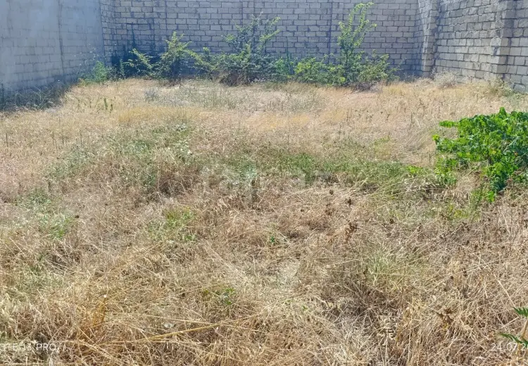 0 m² Obyekt / Ofis , Nardaran qəs., Sabunçu, Bakı