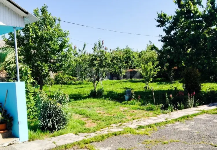 0 m² Obyekt / Ofis , Qəbələ