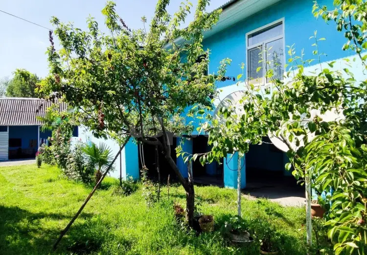 0 m² Obyekt / Ofis , Qəbələ