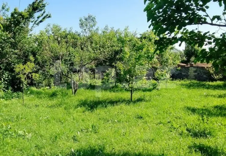 0 m² Obyekt / Ofis , Qəbələ