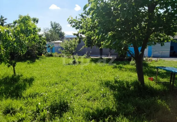 0 m² Obyekt / Ofis , Qəbələ