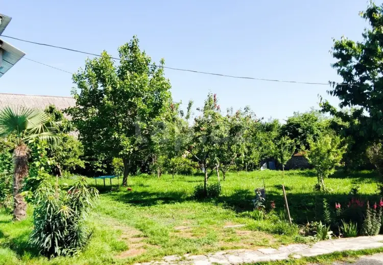 0 m² Obyekt / Ofis , Qəbələ