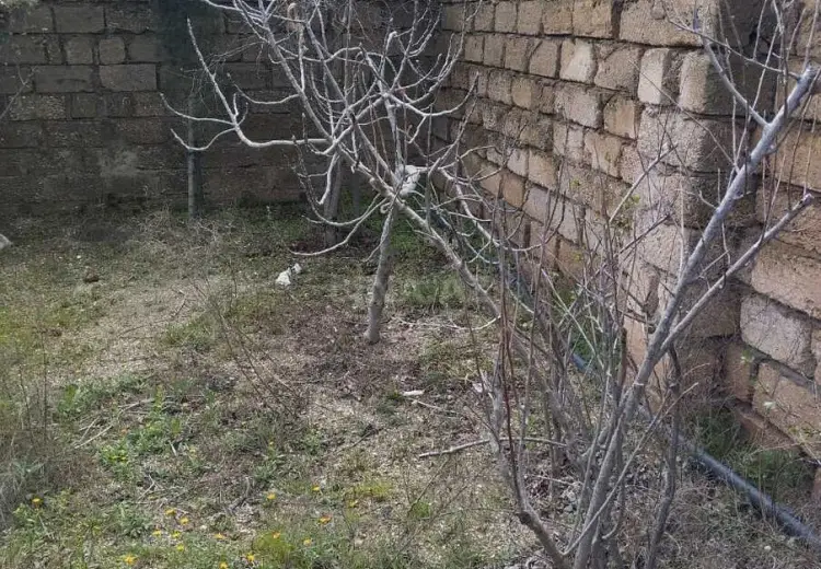 2.3 sot Torpaq Satılır, Suraxanı, Bakı