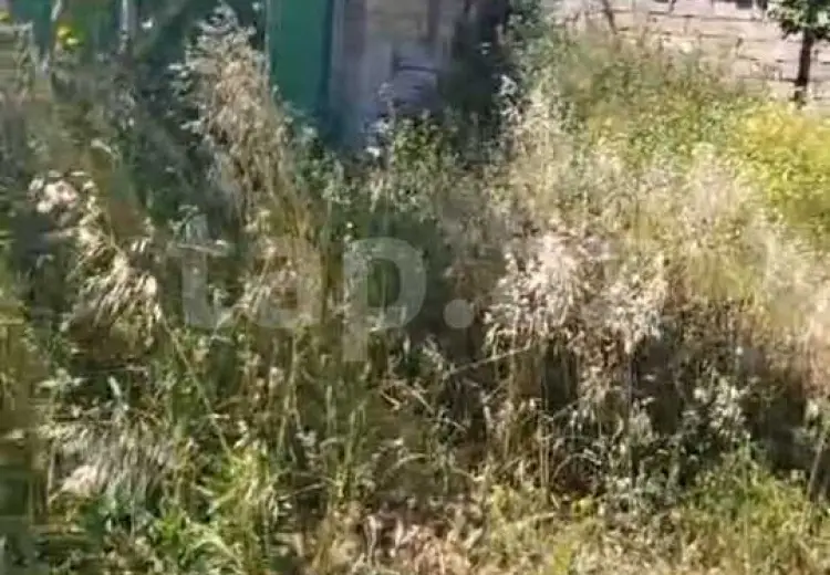 0 m² Obyekt / Ofis , Hövsan qəs., Suraxanı, Bakı
