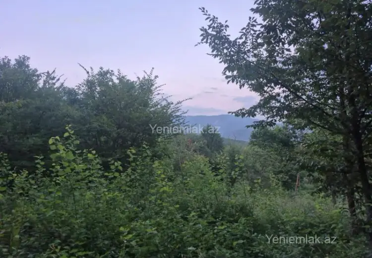 30 sot Torpaq Satılır, İsmayıllı