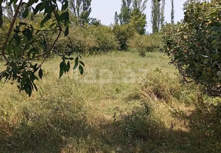 0 m² Obyekt / Ofis , Xaçmaz