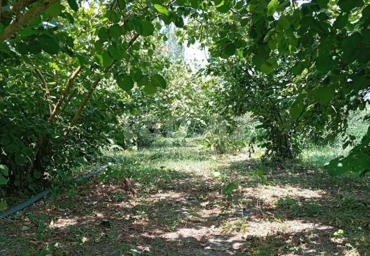 0 m² Obyekt / Ofis , Xaçmaz