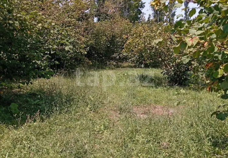 0 m² Obyekt / Ofis , Xaçmaz