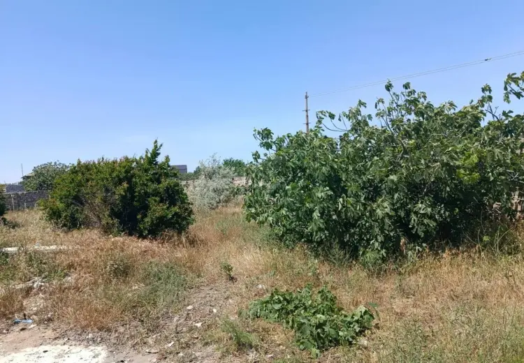19.5 sot Torpaq Satılır, Bilgəh qəs., Sabunçu, Bakı