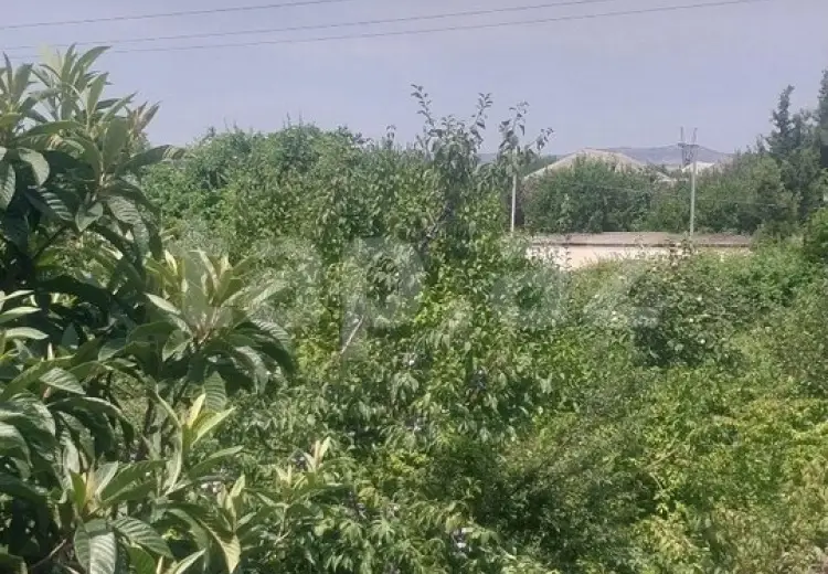 5 otaqlı mənzil , Ağdaş