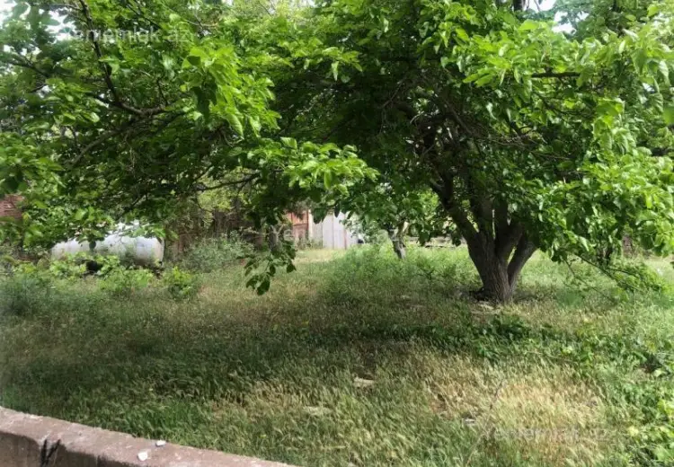 9 sot Torpaq Satılır, Novxanı, Abşeron
