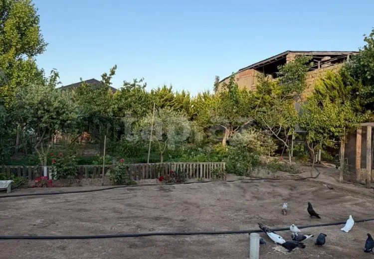 0 m² Obyekt / Ofis , Məştağa qəs., Sabunçu, Bakı