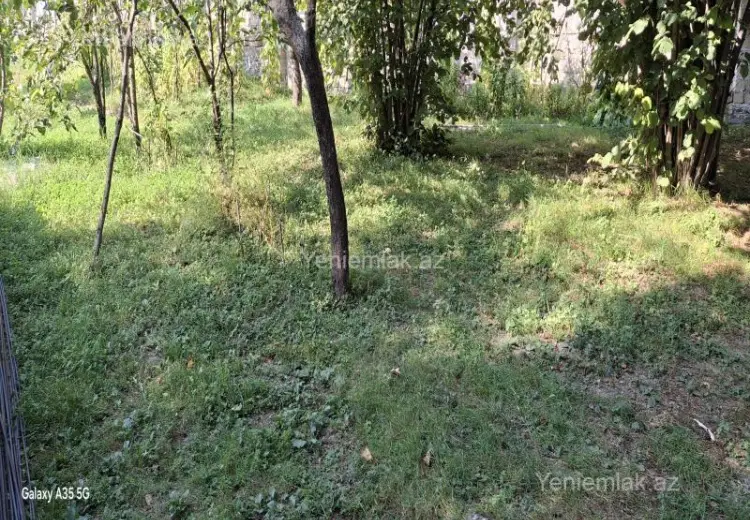14 sot Torpaq Satılır, Qəbələ
