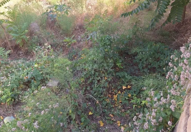 3 sot Torpaq Satılır, Badamdar qəs., Səbail, Bakı