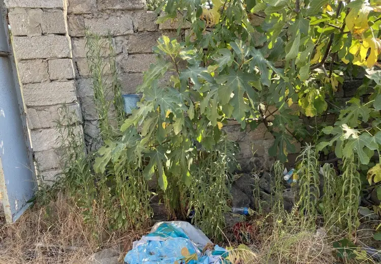 6 sot Torpaq Satılır, Mərdəkan, Xəzər, Bakı