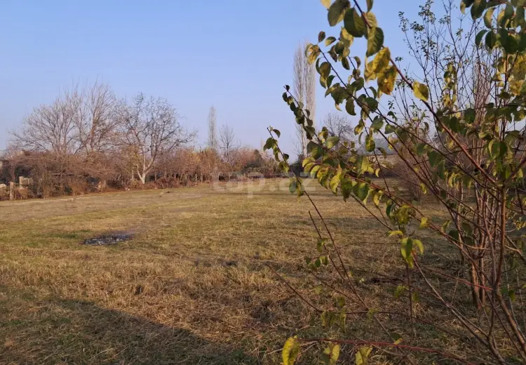 0 m² Obyekt / Ofis , Göyçay