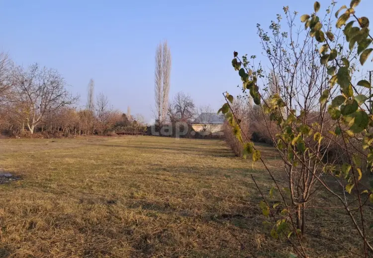 0 m² Obyekt / Ofis , Göyçay