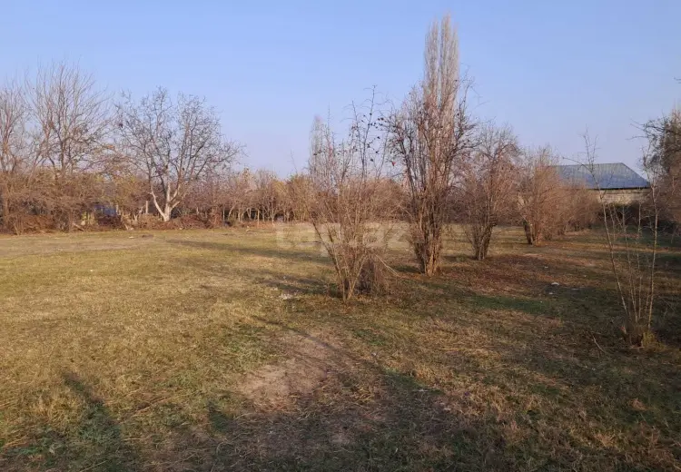 0 m² Obyekt / Ofis , Göyçay