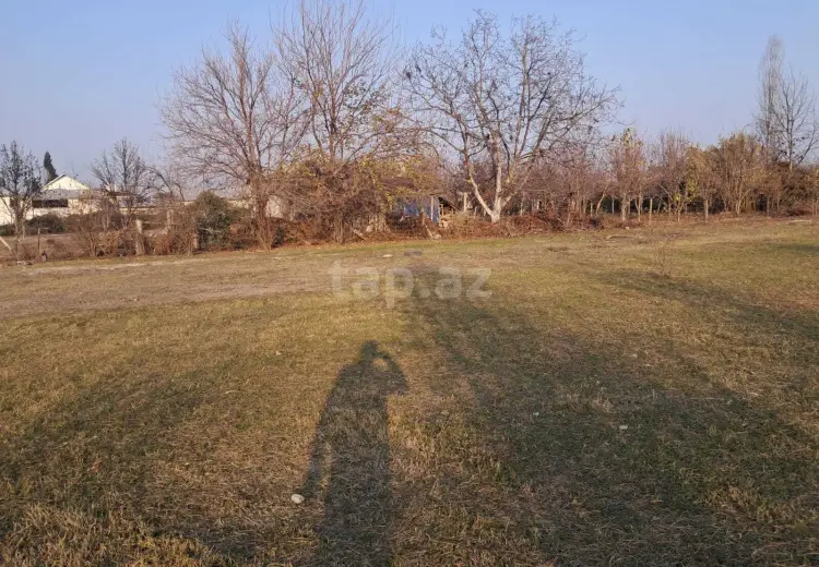 0 m² Obyekt / Ofis , Göyçay