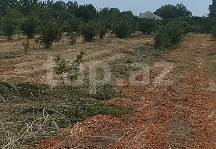 0 m² Obyekt / Ofis , Xaçmaz