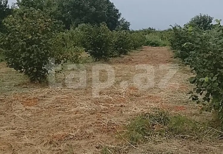 0 m² Obyekt / Ofis , Xaçmaz