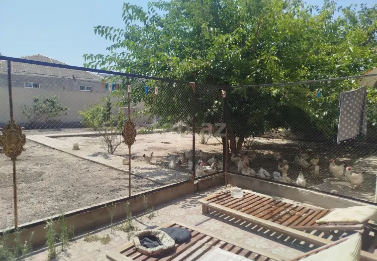 0 m² Obyekt / Ofis , Mərdəkan, Xəzər, Bakı