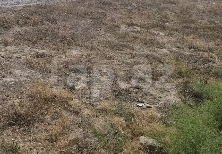 0 m² Obyekt / Ofis , Qala, Xəzər, Bakı