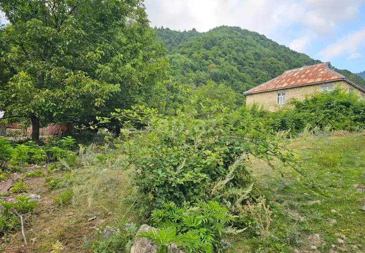 0 m² Obyekt / Ofis , Qəbələ