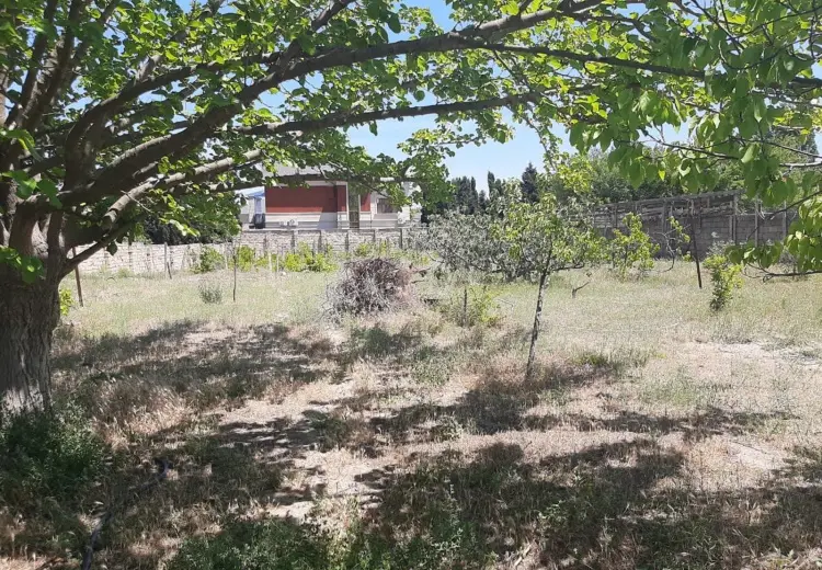 30 sot Torpaq Satılır, Novxanı, Abşeron