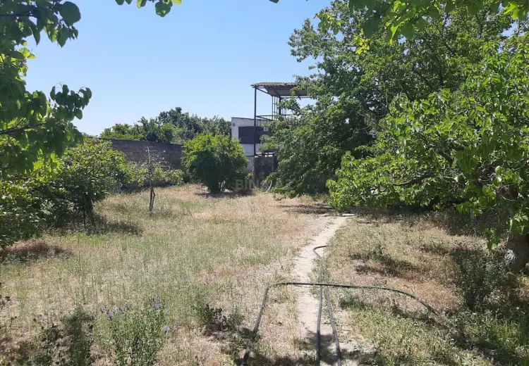 30 sot Torpaq Satılır, Novxanı, Abşeron