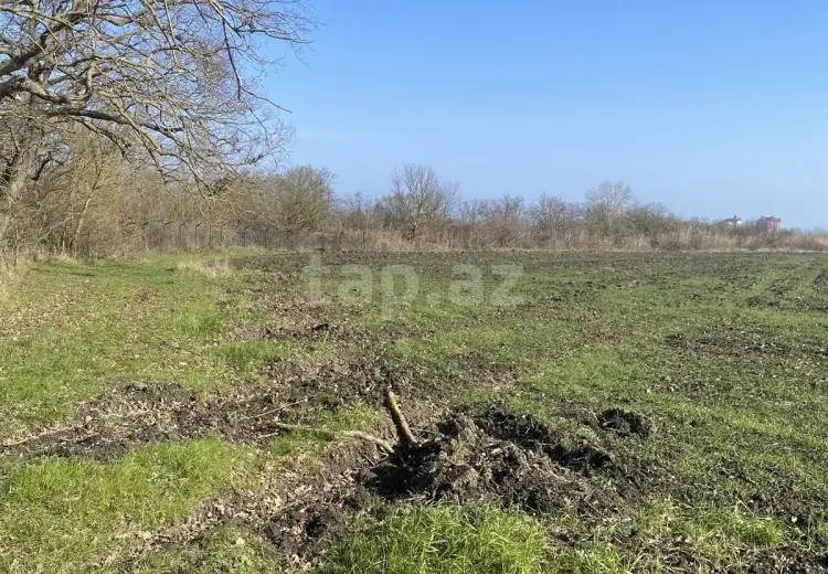 0 m² Obyekt / Ofis , Xudat