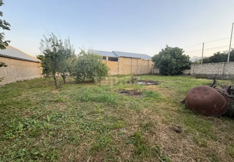 0 m² Obyekt / Ofis , Qəbələ