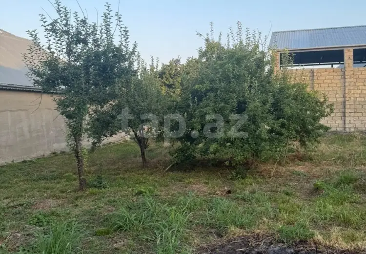 0 m² Obyekt / Ofis , Qəbələ