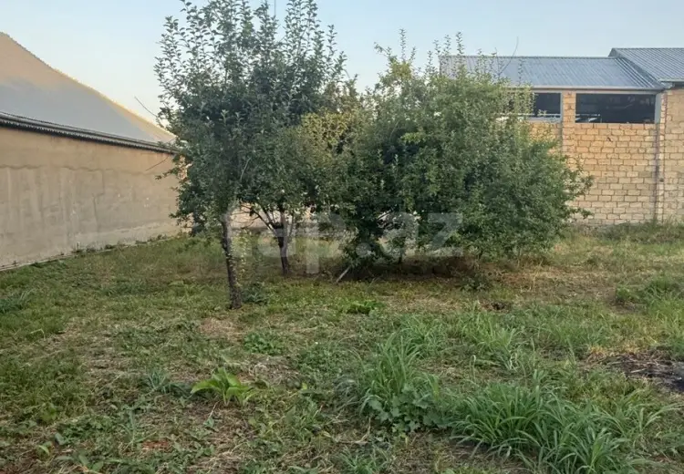 0 m² Obyekt / Ofis , Qəbələ