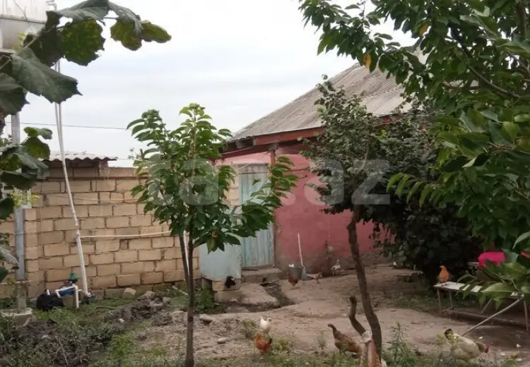 3 otaqlı mənzil , Xaçmaz