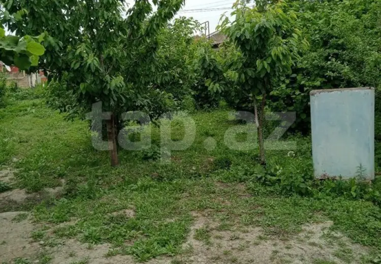 3 otaqlı mənzil , Xaçmaz