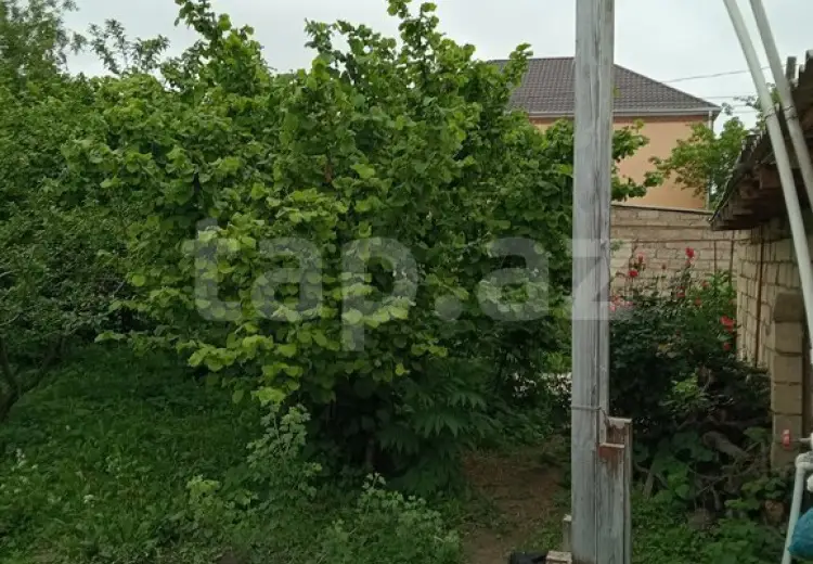 3 otaqlı mənzil , Xaçmaz