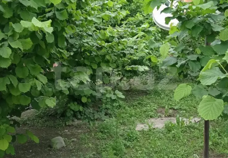 3 otaqlı mənzil , Xaçmaz
