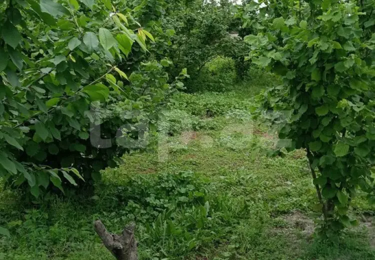 3 otaqlı mənzil , Xaçmaz