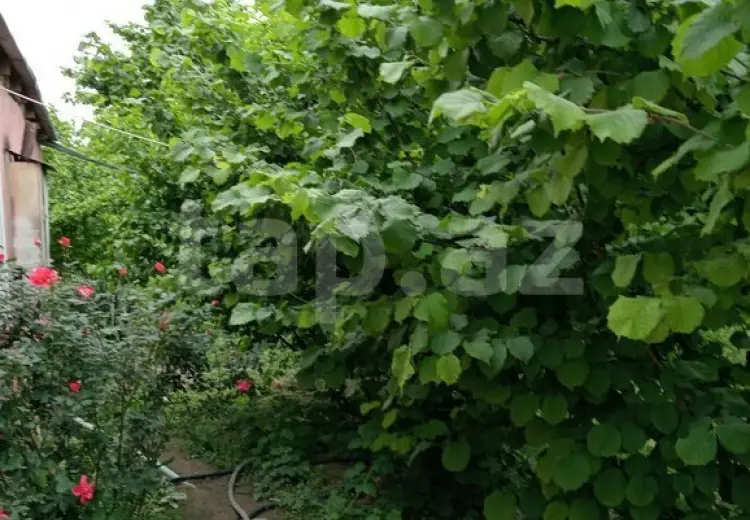 3 otaqlı mənzil , Xaçmaz