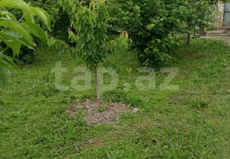 3 otaqlı mənzil , Xaçmaz