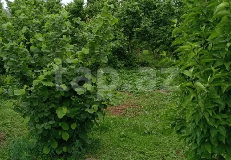 3 otaqlı mənzil , Xaçmaz