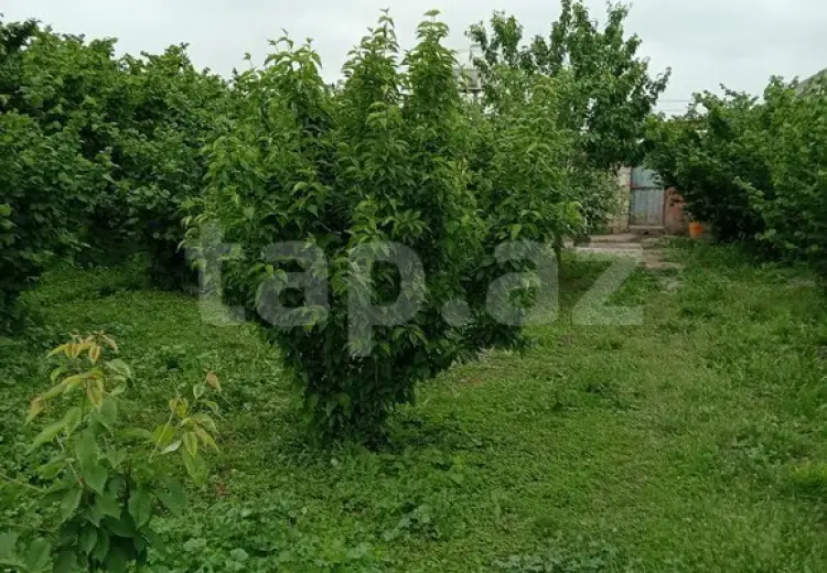 3 otaqlı mənzil , Xaçmaz