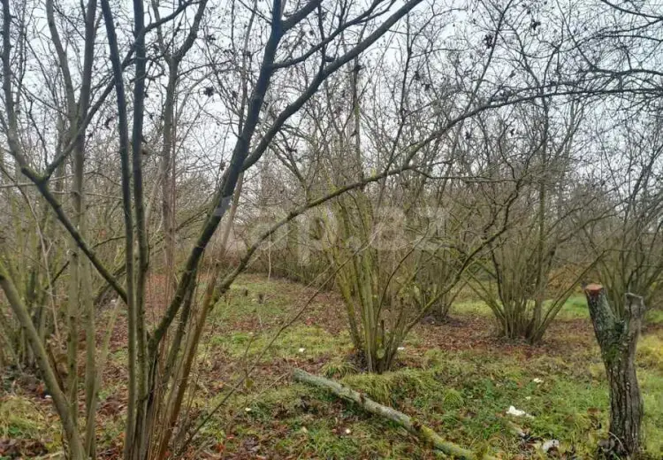 0 m² Obyekt / Ofis , Xaçmaz