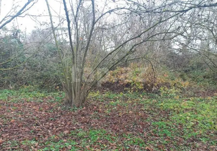 0 m² Obyekt / Ofis , Xaçmaz