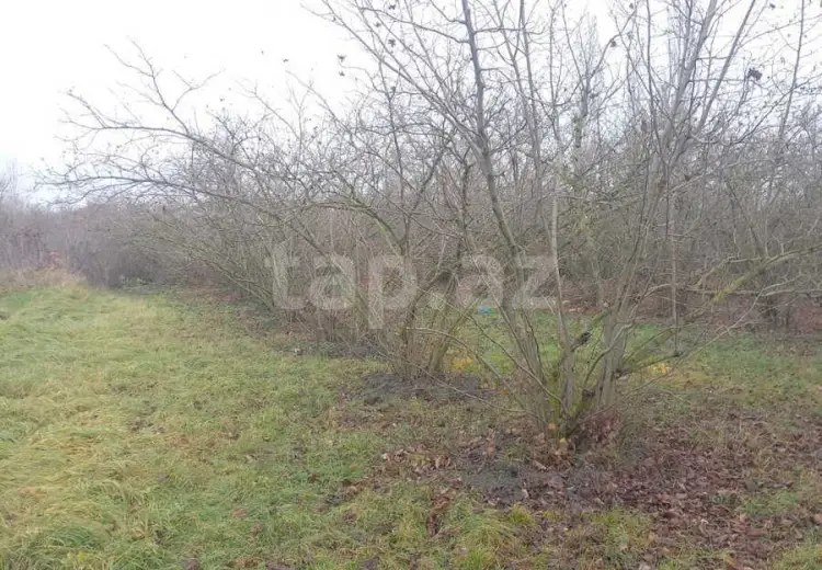 0 m² Obyekt / Ofis , Xaçmaz