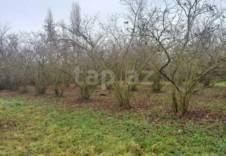 0 m² Obyekt / Ofis , Xaçmaz