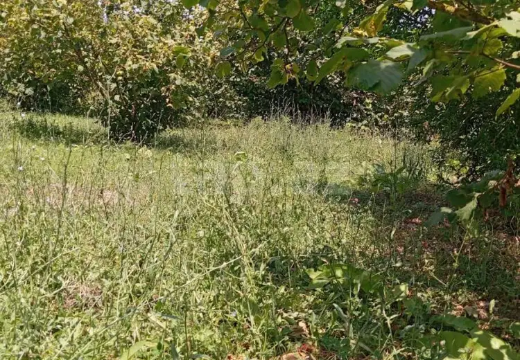 0 m² Obyekt / Ofis , Xaçmaz