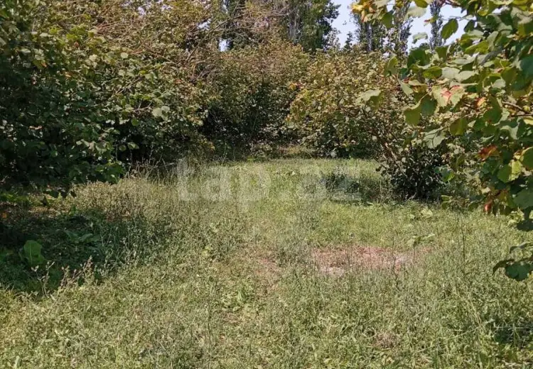 0 m² Obyekt / Ofis , Xaçmaz